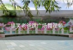 搞笑老爸跳广场舞视频