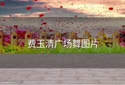 费玉清广场舞图片