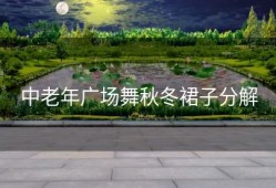 中老年广场舞秋冬裙子分解