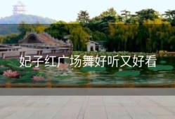 妃子红广场舞好听又好看