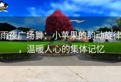 雨夜广场舞：小苹果的韵动旋律，温暖人心的集体记忆