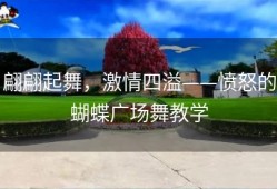 翩翩起舞，激情四溢——愤怒的蝴蝶广场舞教学