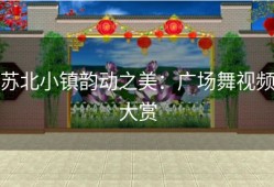 苏北小镇韵动之美：广场舞视频大赏