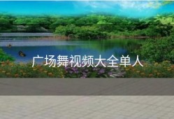 广场舞视频大全单人