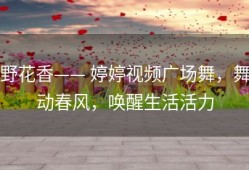 野花香—— 婷婷视频广场舞，舞动春风，唤醒生活活力