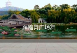 踢踏舞广场舞