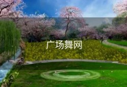广场舞网