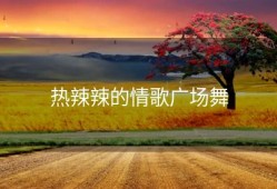 热辣辣的情歌广场舞