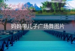 妈妈带儿子广场舞图片
