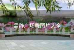 孟静广场舞图片大全