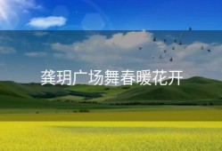 龚玥广场舞春暖花开