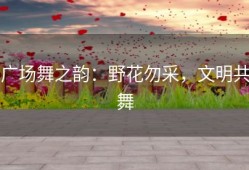 广场舞之韵：野花勿采，文明共舞