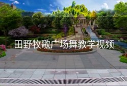 田野牧歌广场舞教学视频