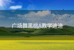 广场舞黑桃A教学迪迪