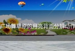 广场舞草原的月亮背面分解动作