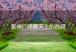 翼神广场舞天上的西藏