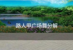 路人甲广场舞分解