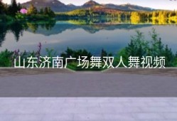 山东济南广场舞双人舞视频