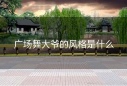 广场舞大爷的风格是什么