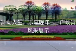 舞动人生，乐享晚年——广场舞风采展示