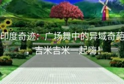 印度奇迹：广场舞中的异域奇葩，吉米吉米一起嗨！