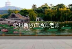 沧州新歌广场舞老师