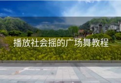 播放社会摇的广场舞教程