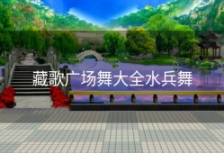 藏歌广场舞大全水兵舞