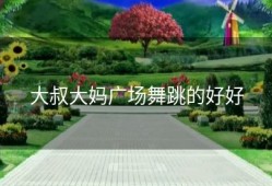 大叔大妈广场舞跳的好好