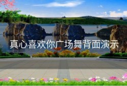 真心喜欢你广场舞背面演示