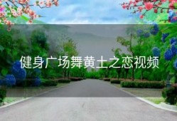 健身广场舞黄土之恋视频