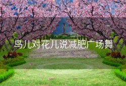 鸟儿对花儿说减肥广场舞