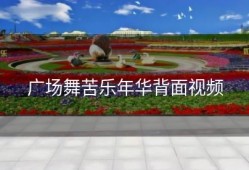 广场舞苦乐年华背面视频