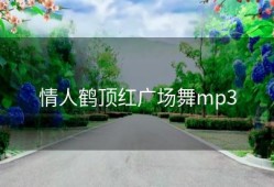 情人鹤顶红广场舞mp3