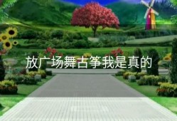 放广场舞古筝我是真的