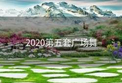 2020第五套广场舞
