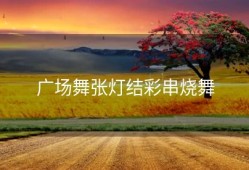 广场舞张灯结彩串烧舞