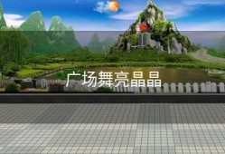 广场舞亮晶晶