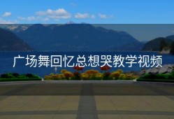 广场舞回忆总想哭教学视频