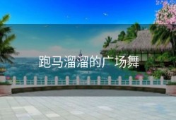 跑马溜溜的广场舞
