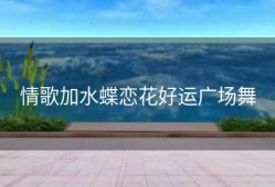 情歌加水蝶恋花好运广场舞