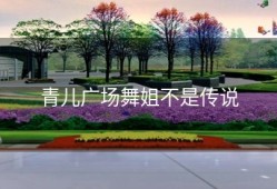 青儿广场舞姐不是传说