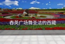 舂英广场舞圣洁的西藏