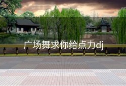广场舞求你给点力dj