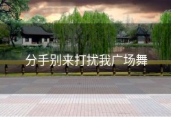 分手别来打扰我广场舞