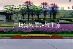 广场舞牧羊姑娘王源