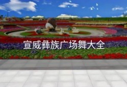 宣威彝族广场舞大全