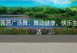 茜茜广场舞：舞动健康，快乐生活