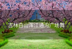 吉林白山浑江通沟广场舞