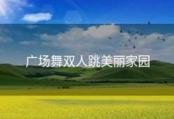 广场舞双人跳美丽家园
